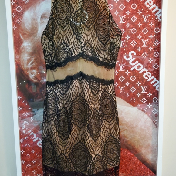 VERY SEXY Morning Mist size 10 Black and Nude  sheer dress 👗 - Picture 3 of 7